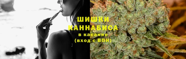 ПСИЛОЦИБИНОВЫЕ ГРИБЫ Алзамай