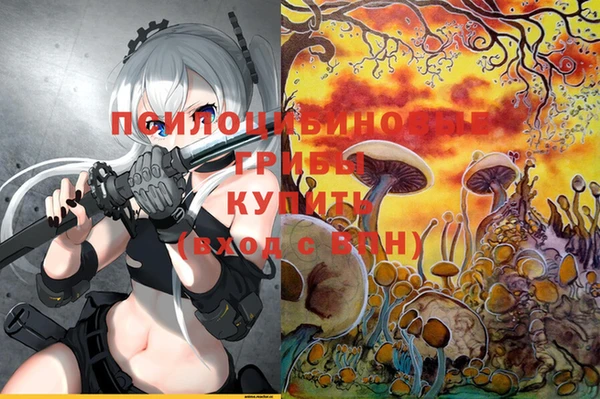 ПСИЛОЦИБИНОВЫЕ ГРИБЫ Алзамай