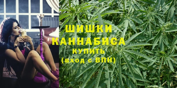 ПСИЛОЦИБИНОВЫЕ ГРИБЫ Алзамай